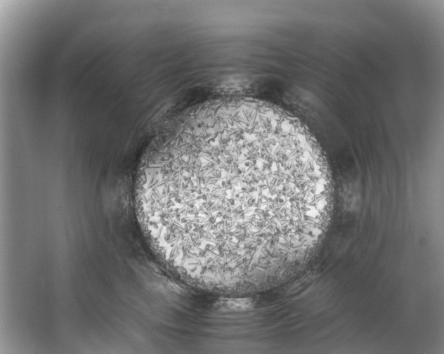 X0000062800665200601051113