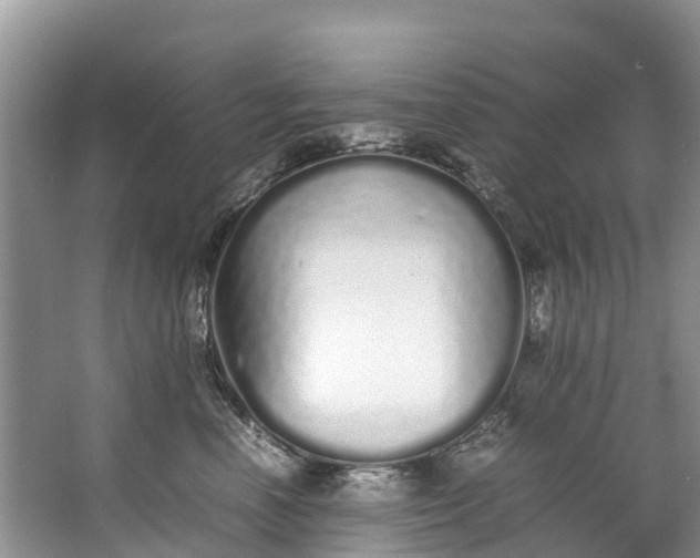 X0000062800666200601051113