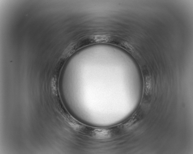 X0000062800667200601051113