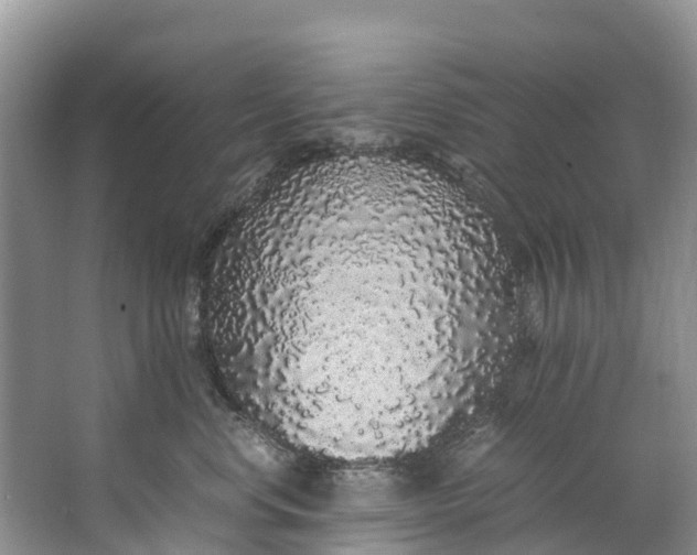 X0000062800668200601051113