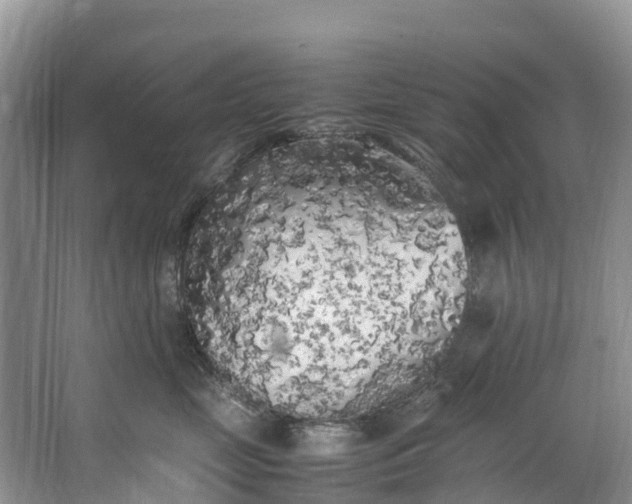 X0000062800669200601051113