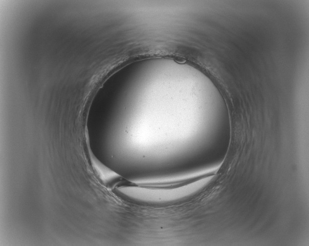 X0000062800673200601051112