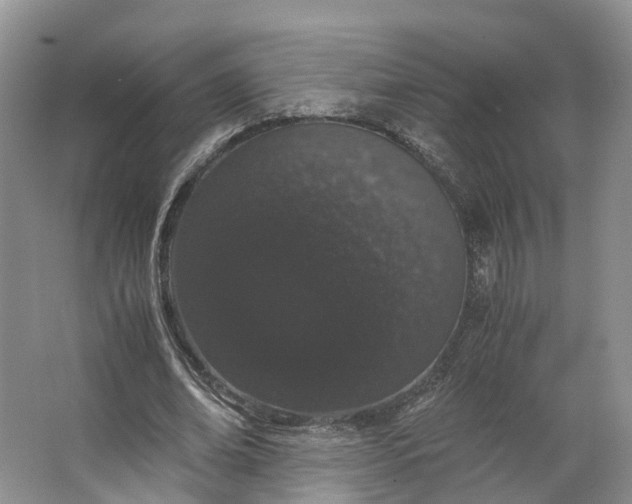 X0000062800678200601051112