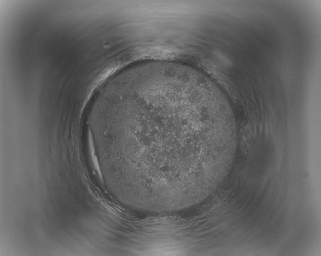 X0000062800679200601051112