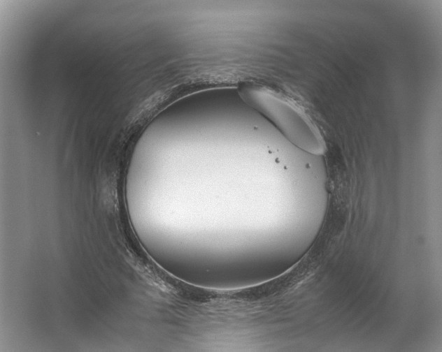 X0000062800681200601051112