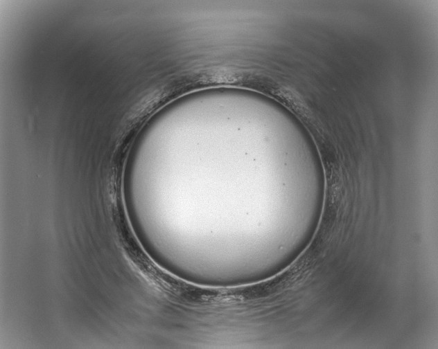 X0000062800683200601051112