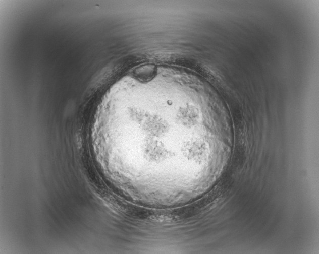 X0000062800687200601051112