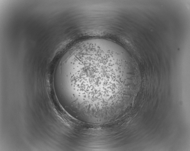 X0000062800688200601051112