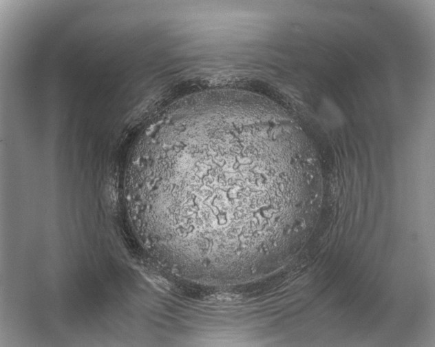 X0000062800691200601051112