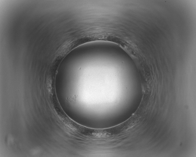 X0000062800693200601051112