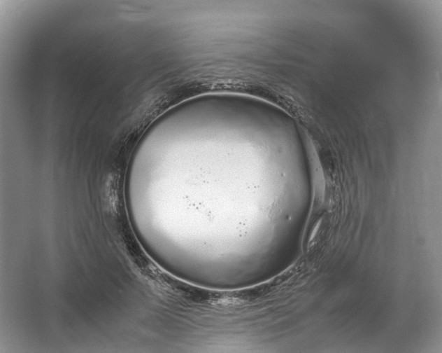 X0000062800695200601051112