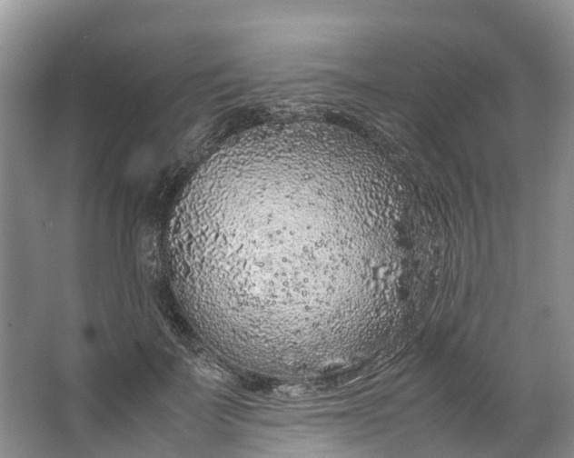 X0000062800699200601051112