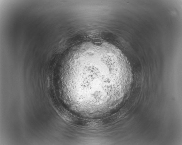 X0000062800703200601051112