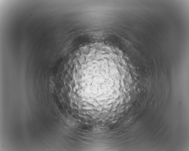 X0000062800707200601051112