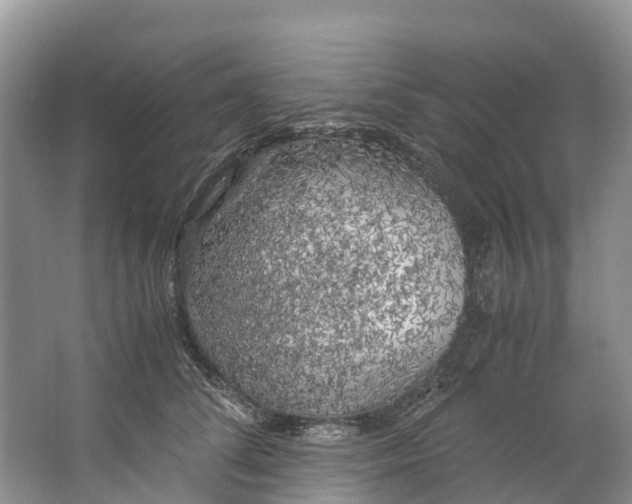 X0000062800708200601051112