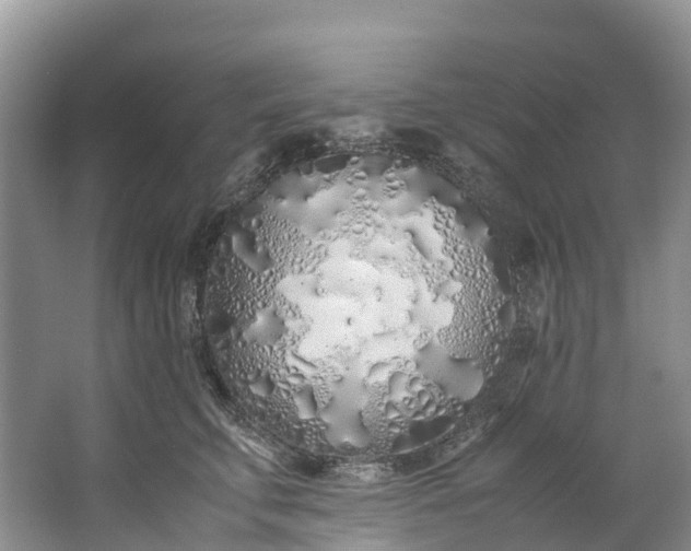 X0000062800711200601051112