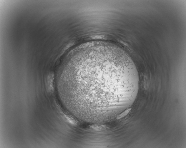 X0000062800712200601051112