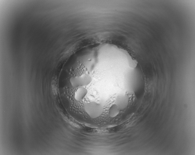 X0000062800719200601051111