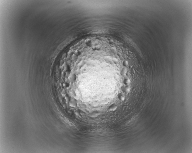 X0000062800721200601051111