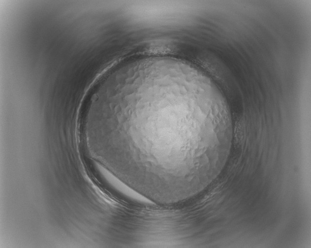 X0000062800722200601051111