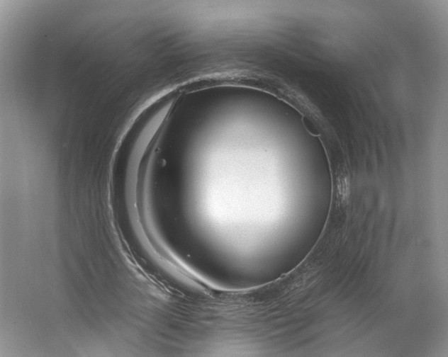 X0000062800724200601051111