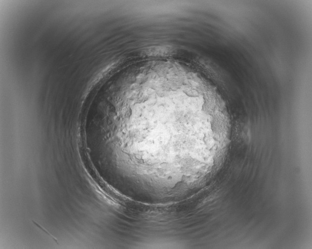 X0000062800725200601051111