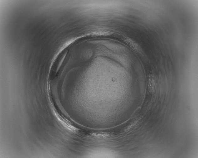 X0000062800726200601051111