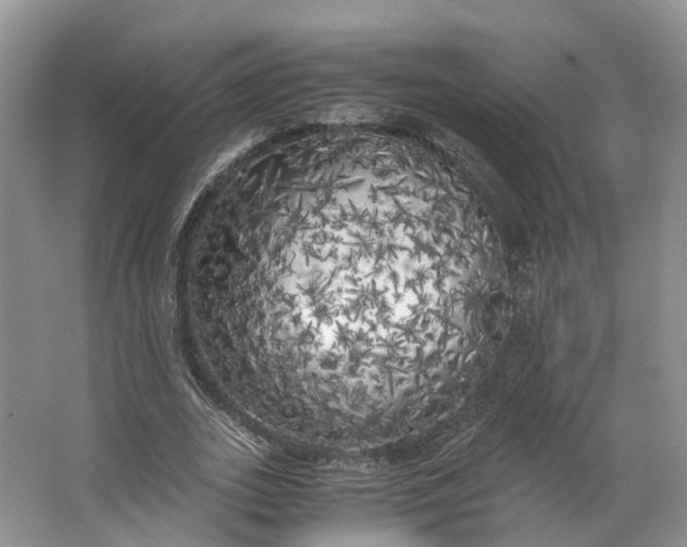 X0000062800727200601051111