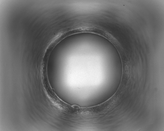 X0000062800730200601051111