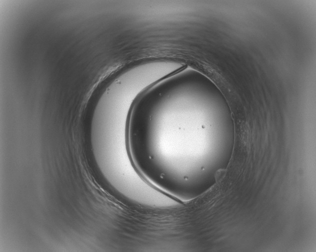 X0000062800731200601051111