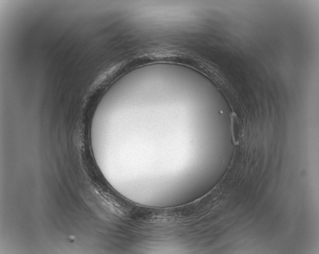 X0000062800732200601051111