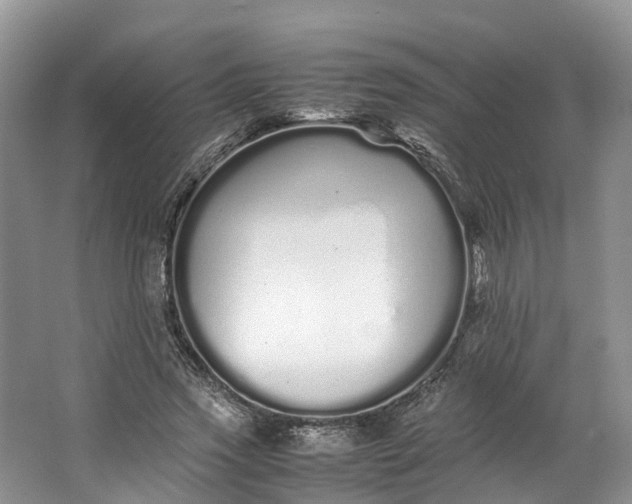 X0000062800733200601051111