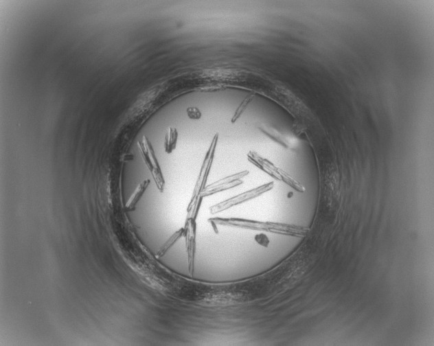 X0000062800734200601051111