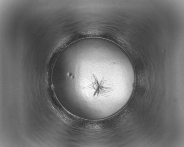 X0000062800735200601051111