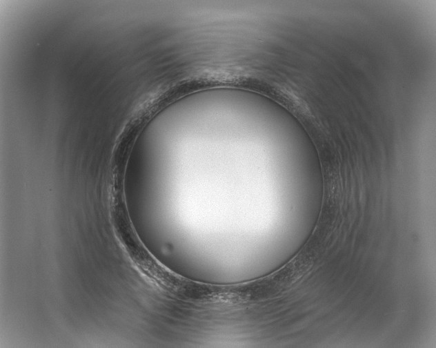 X0000062800736200601051111