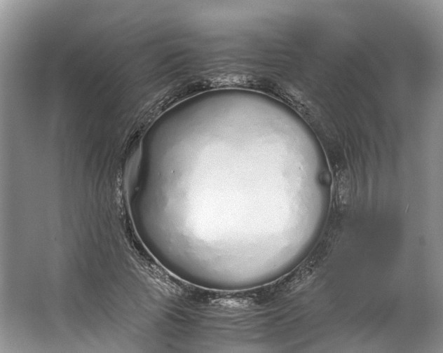 X0000062800737200601051111