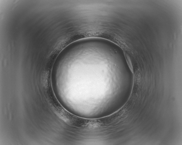 X0000062800742200601051111