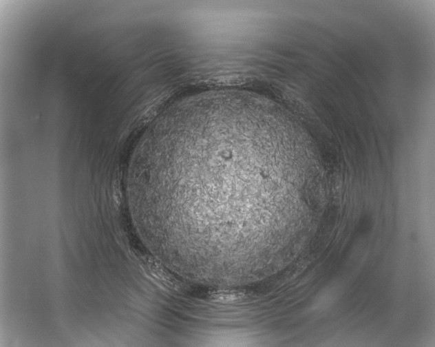 X0000062800746200601051111