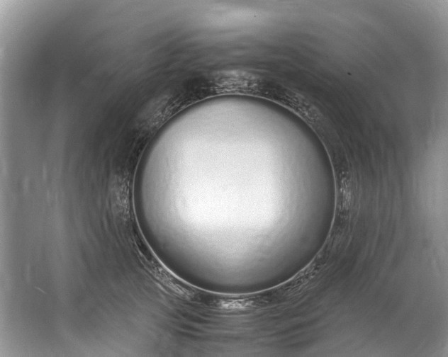 X0000062800753200601051111