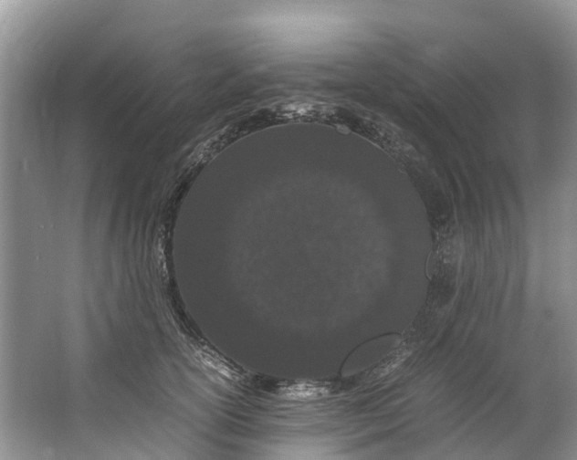 X0000062800754200601051111