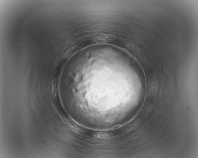 X0000062800759200601051111