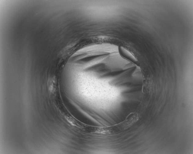 X0000062800760200601051111