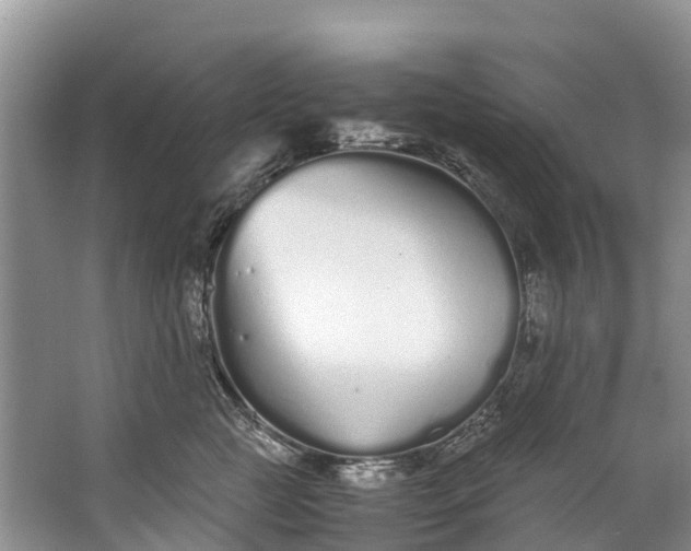 X0000062800761200601051111