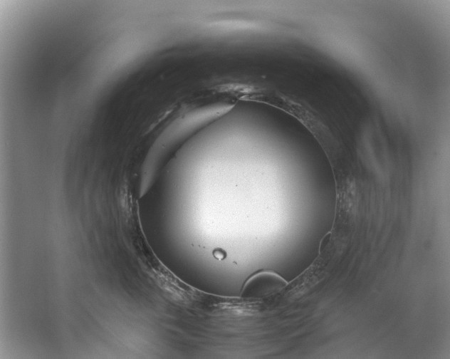 X0000062800763200601051111