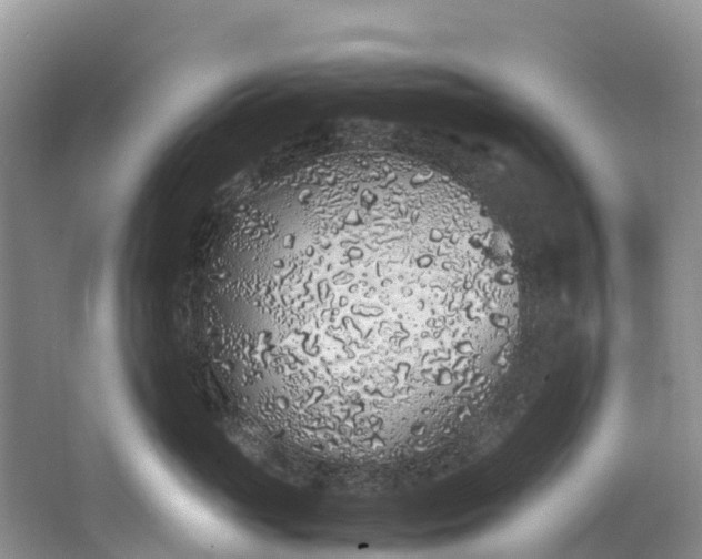 X0000062800765200601051111