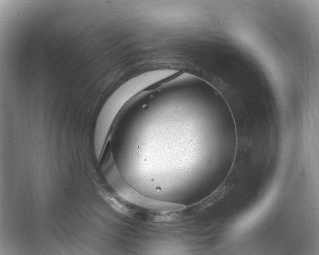 X0000062800766200601051111