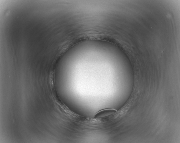 X0000062800768200601051111