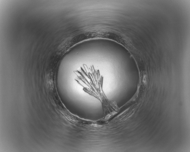 X0000062800771200601051111