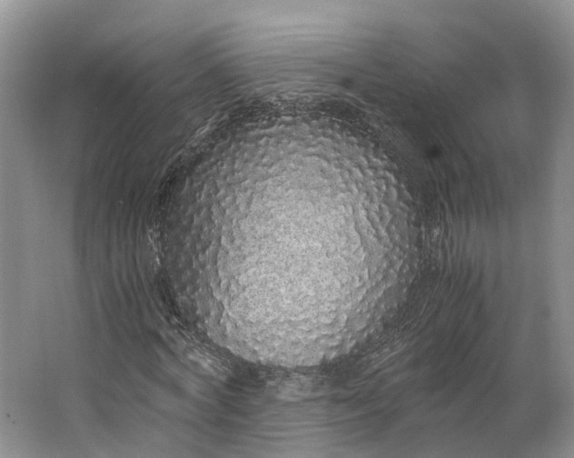 X0000062800772200601051111