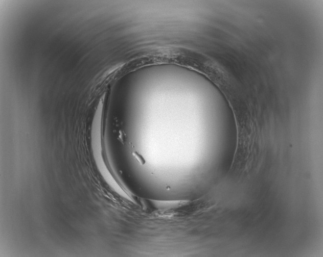 X0000062800773200601051111